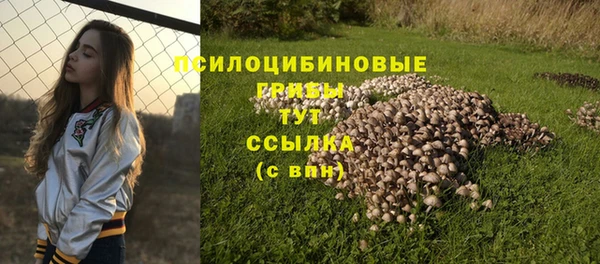 винт Белоозёрский