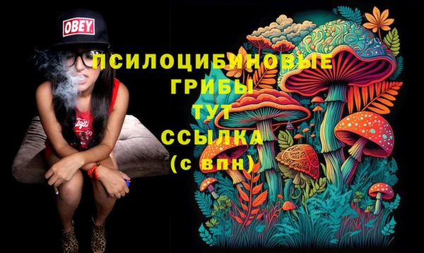 трава Пестово