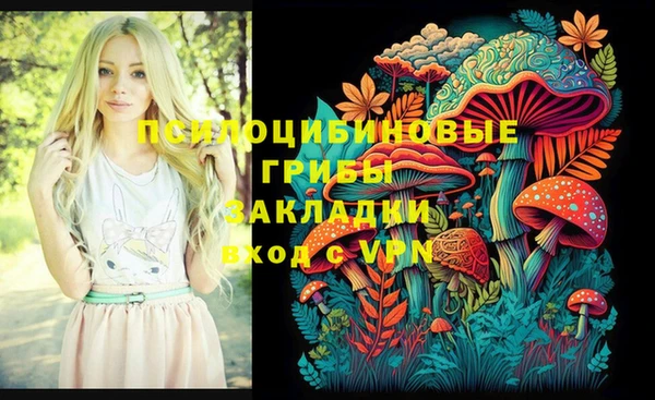 стаф Балахна