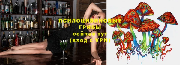 не бодяженный Белокуриха