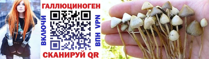 Псилоцибиновые грибы Magic Shrooms  Волосово 