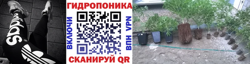 omg ссылка  Волосово  Шишки марихуана THC 21% 